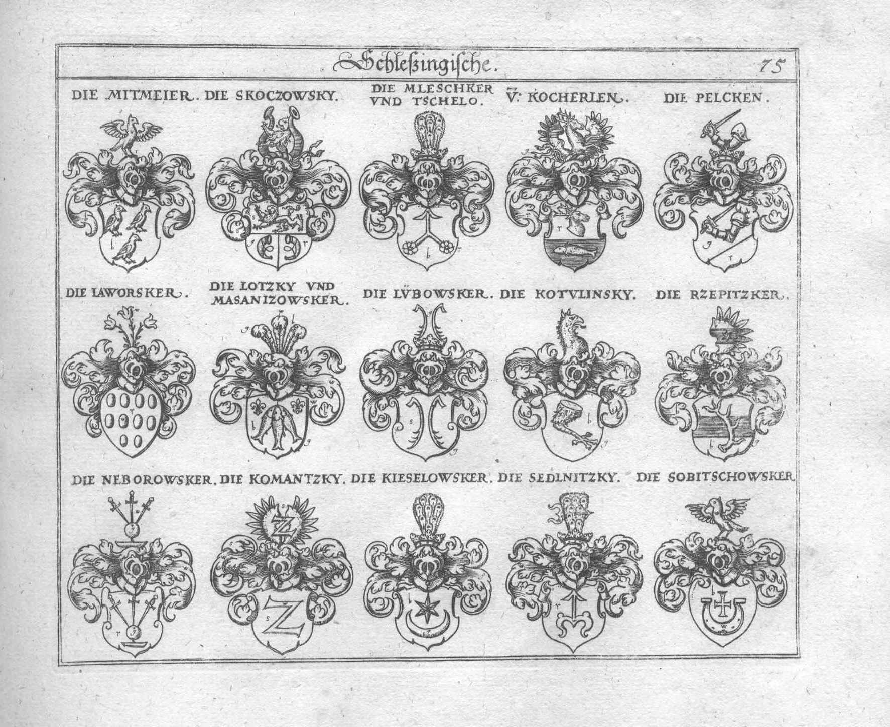 Wappen Siegel Adelswappen