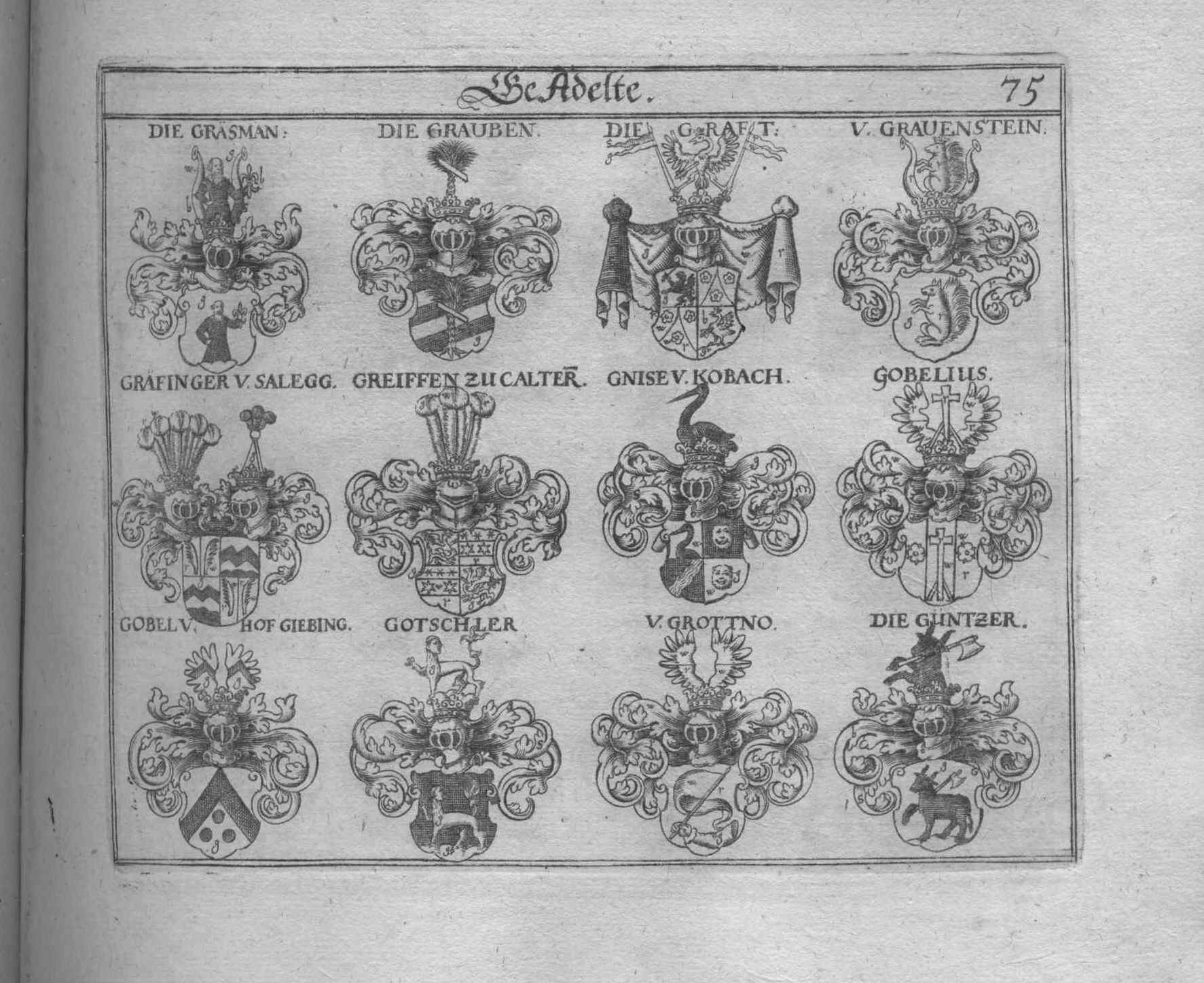 Wappen Siegel Adelswappen